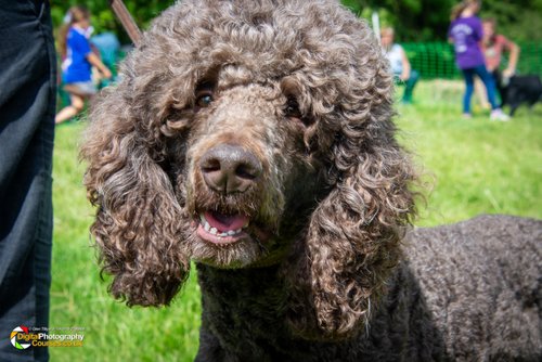 Smeeton Westerby Fete 2019